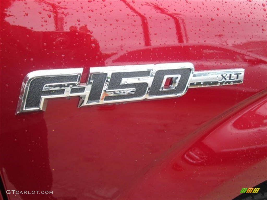 2014 F150 XLT SuperCrew 4x4 - Ruby Red / Steel Grey photo #10