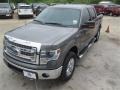 2014 Sterling Grey Ford F150 XLT SuperCrew 4x4  photo #4