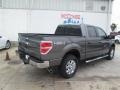 2014 Sterling Grey Ford F150 XLT SuperCrew 4x4  photo #8