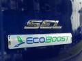 2013 Deep Impact Blue Metallic Ford Escape SEL 1.6L EcoBoost  photo #10