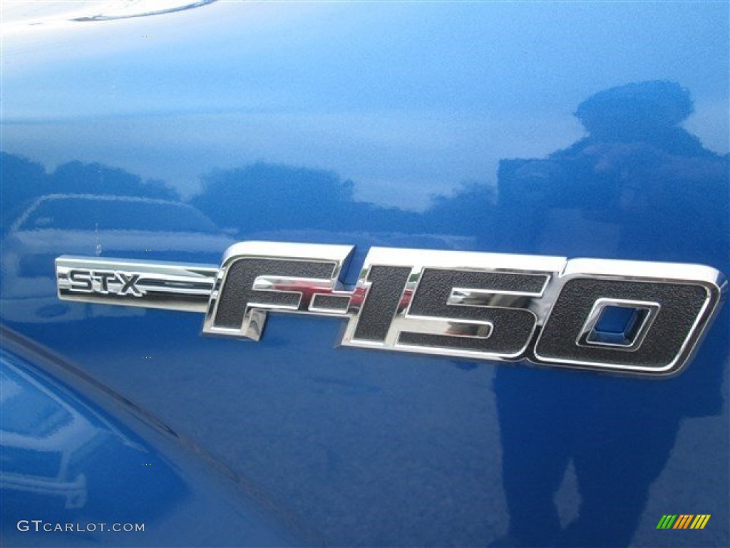 2014 F150 STX SuperCrew 4x4 - Blue Flame / Black photo #11