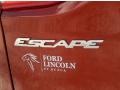 2014 Sunset Ford Escape SE 1.6L EcoBoost  photo #4