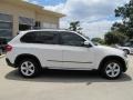 Alpine White - X5 xDrive30i Photo No. 11
