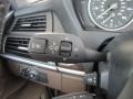 Saddle Brown Controls Photo for 2010 BMW X5 #93518153