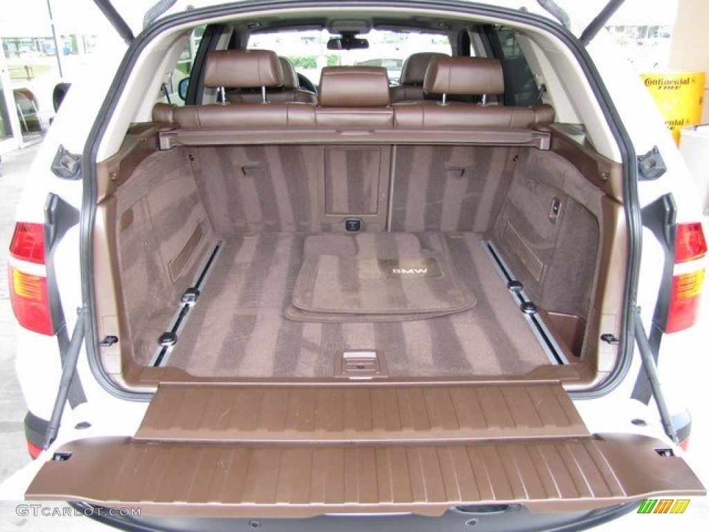 2010 BMW X5 xDrive30i Trunk Photo #93518537