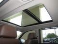 2010 BMW X5 Saddle Brown Interior Sunroof Photo