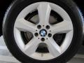 2010 BMW X5 xDrive30i Wheel and Tire Photo