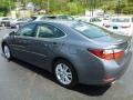 Nebula Gray Pearl - ES 350 Photo No. 9