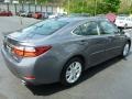 Nebula Gray Pearl - ES 350 Photo No. 11