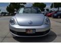 Moonrock Silver Metallic - Beetle 2.5L Photo No. 8