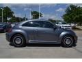 Platinum Gray Metallic - Beetle 2.5L Photo No. 6