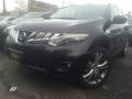 Super Black - Murano LE AWD Photo No. 1