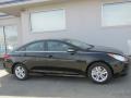 2014 Phantom Black Metallic Hyundai Sonata GLS  photo #2