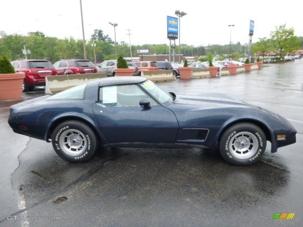 1981 Corvette Coupe - Dark Blue Metallic / Silver Grey photo #6