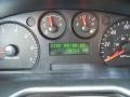 Spruce Green Metallic - Taurus SES Sedan Photo No. 20