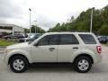 2009 Light Sage Metallic Ford Escape XLT  photo #2