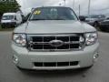 2009 Light Sage Metallic Ford Escape XLT  photo #14