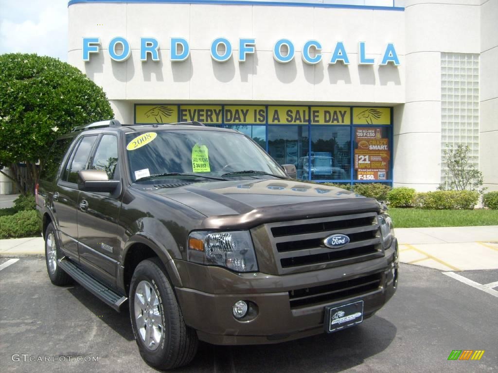 2008 Expedition Limited - Stone Green Metallic / Charcoal Black photo #1