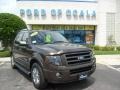 Stone Green Metallic 2008 Ford Expedition Limited