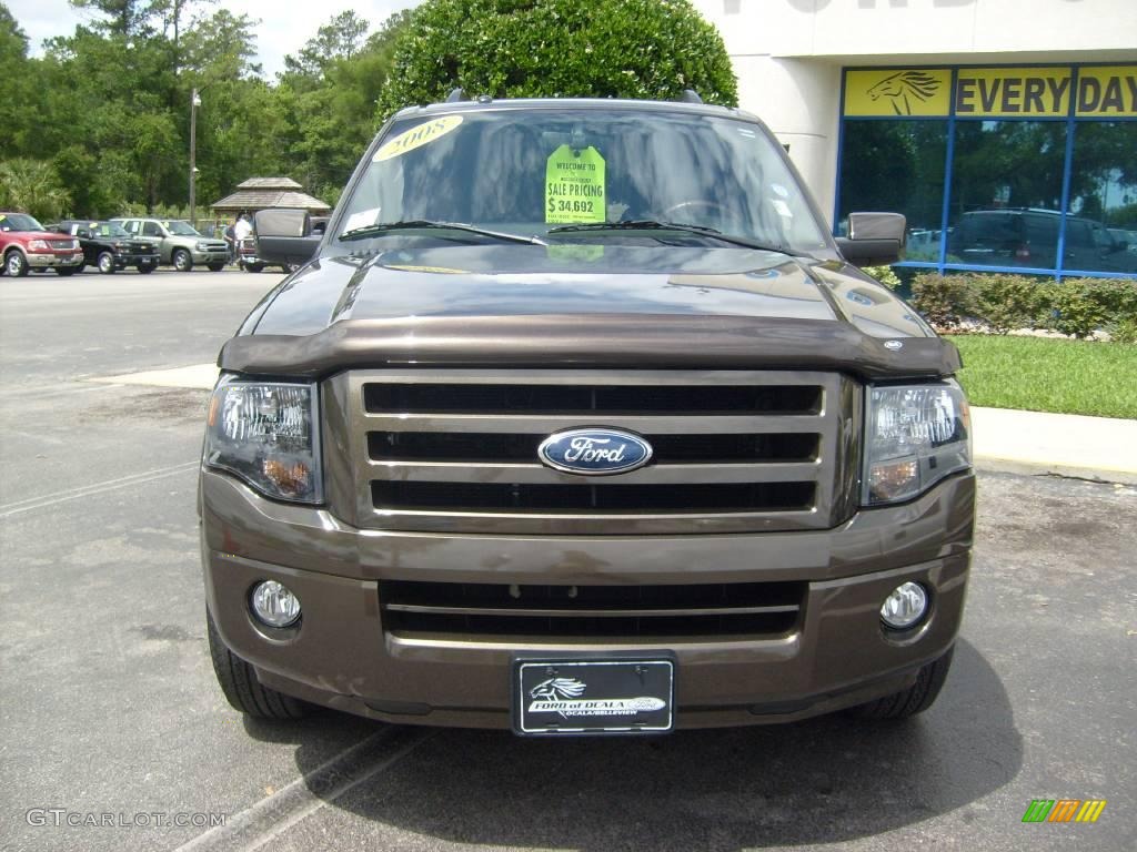 2008 Expedition Limited - Stone Green Metallic / Charcoal Black photo #8