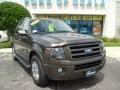 Stone Green Metallic - Expedition Limited Photo No. 9