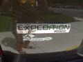 Stone Green Metallic - Expedition Limited Photo No. 10