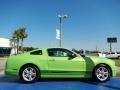 2013 Gotta Have It Green Ford Mustang V6 Premium Coupe  photo #6