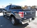 2014 Blue Jeans Ford F150 XLT SuperCrew  photo #3