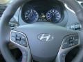 2014 Black Onyx Pearl Hyundai Azera Limited Sedan  photo #19