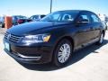 2014 Black Volkswagen Passat 1.8T S  photo #3