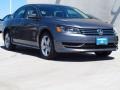 2014 Platinum Gray Metallic Volkswagen Passat 1.8T SE  photo #1