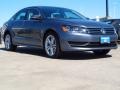 2014 Platinum Gray Metallic Volkswagen Passat 1.8T SE  photo #1