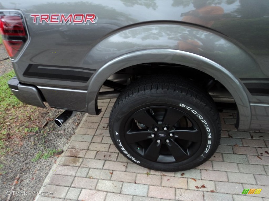 2014 Ford F150 FX2 Tremor Regular Cab Marks and Logos Photos