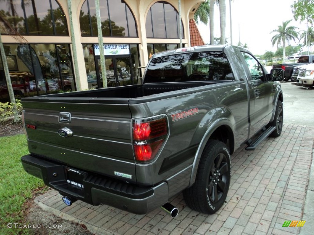 2014 F150 FX2 Tremor Regular Cab - Sterling Grey / FX Appearance Black Leather/Alcantara photo #6