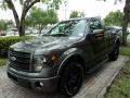 2014 Sterling Grey Ford F150 FX2 Tremor Regular Cab  photo #13