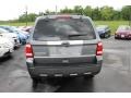 2010 Sterling Grey Metallic Ford Escape Limited V6  photo #6