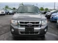 2010 Sterling Grey Metallic Ford Escape Limited V6  photo #8
