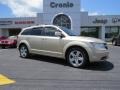 2010 White Gold Dodge Journey R/T  photo #1