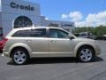 2010 White Gold Dodge Journey R/T  photo #8