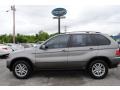 Sterling Grey Metallic - X5 3.0i Photo No. 2