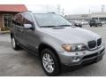 Sterling Grey Metallic - X5 3.0i Photo No. 7