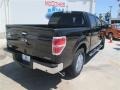 Tuxedo Black - F150 XLT SuperCrew Photo No. 8