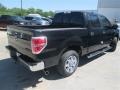 2014 Tuxedo Black Ford F150 XLT SuperCrew  photo #5