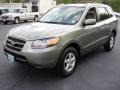 Natural Khaki Green - Santa Fe GLS Photo No. 1