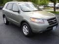 Natural Khaki Green - Santa Fe GLS Photo No. 2