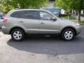 Natural Khaki Green - Santa Fe GLS Photo No. 3