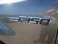 2014 Sterling Grey Ford F150 XL Regular Cab  photo #9