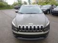 2014 ECO Green Pearl Jeep Cherokee Latitude 4x4  photo #3