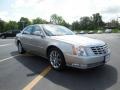 2006 Light Platinum Metallic Cadillac DTS Performance  photo #3