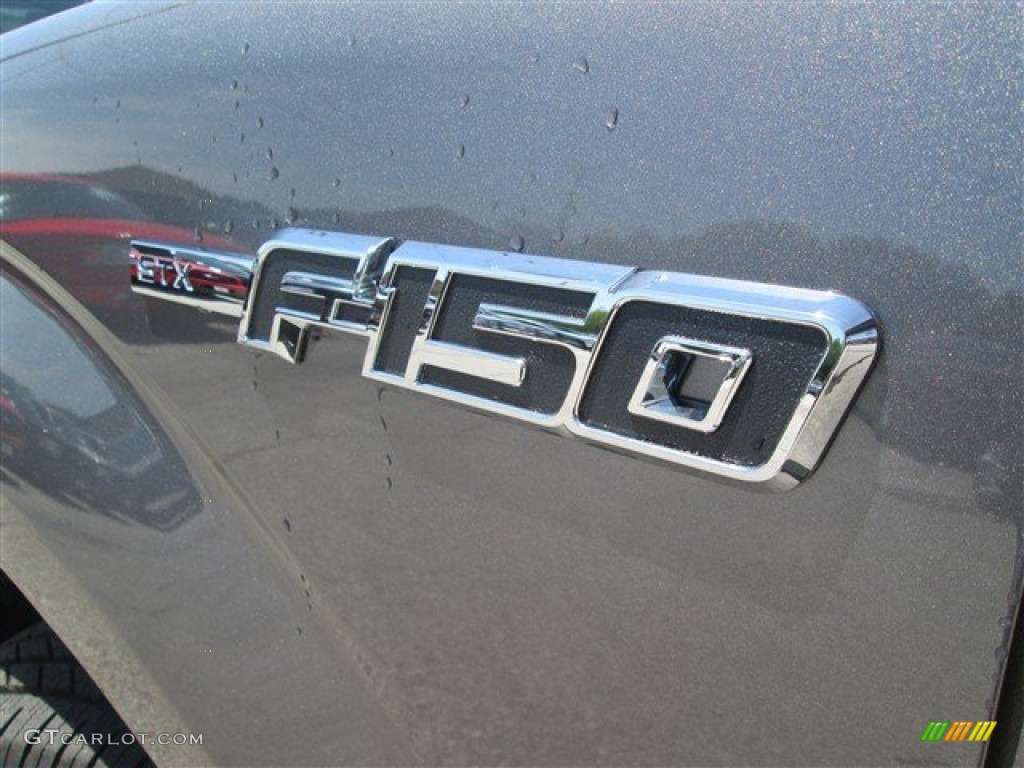 2014 F150 STX SuperCab - Sterling Grey / Steel Grey photo #9